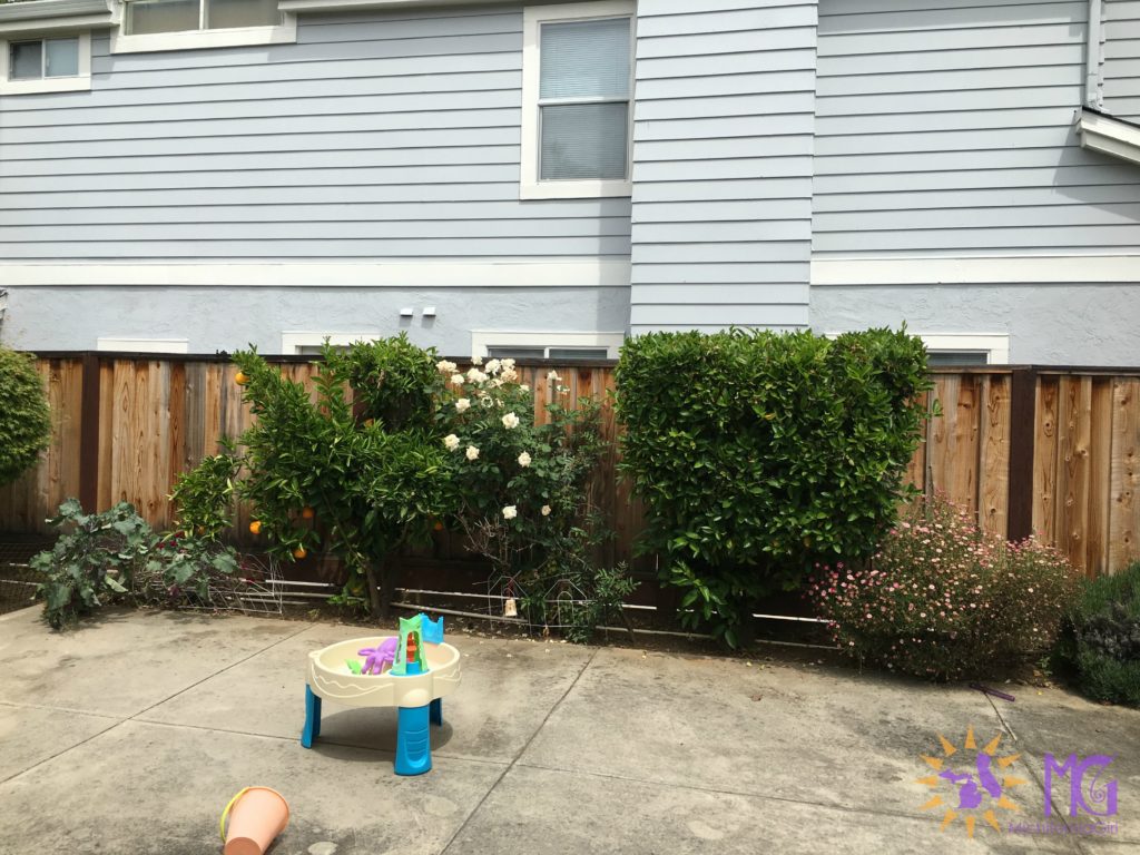 patio cement backyard with fence, facing a house wall