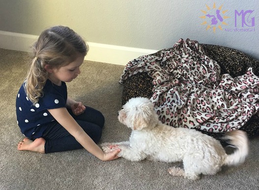 little girl holding puppy's paws diary of a dog