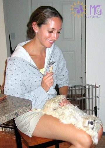 woman brushing puppy's fur diary of a dog
