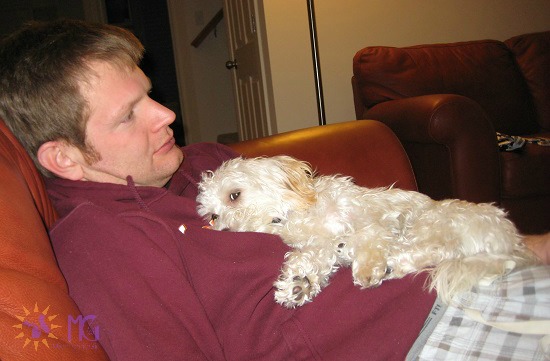 puppy lying on man's chest diary of a dog
