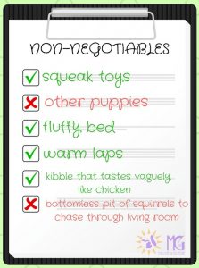 dog's checklist of non-negotiables must-haves diary of a dog