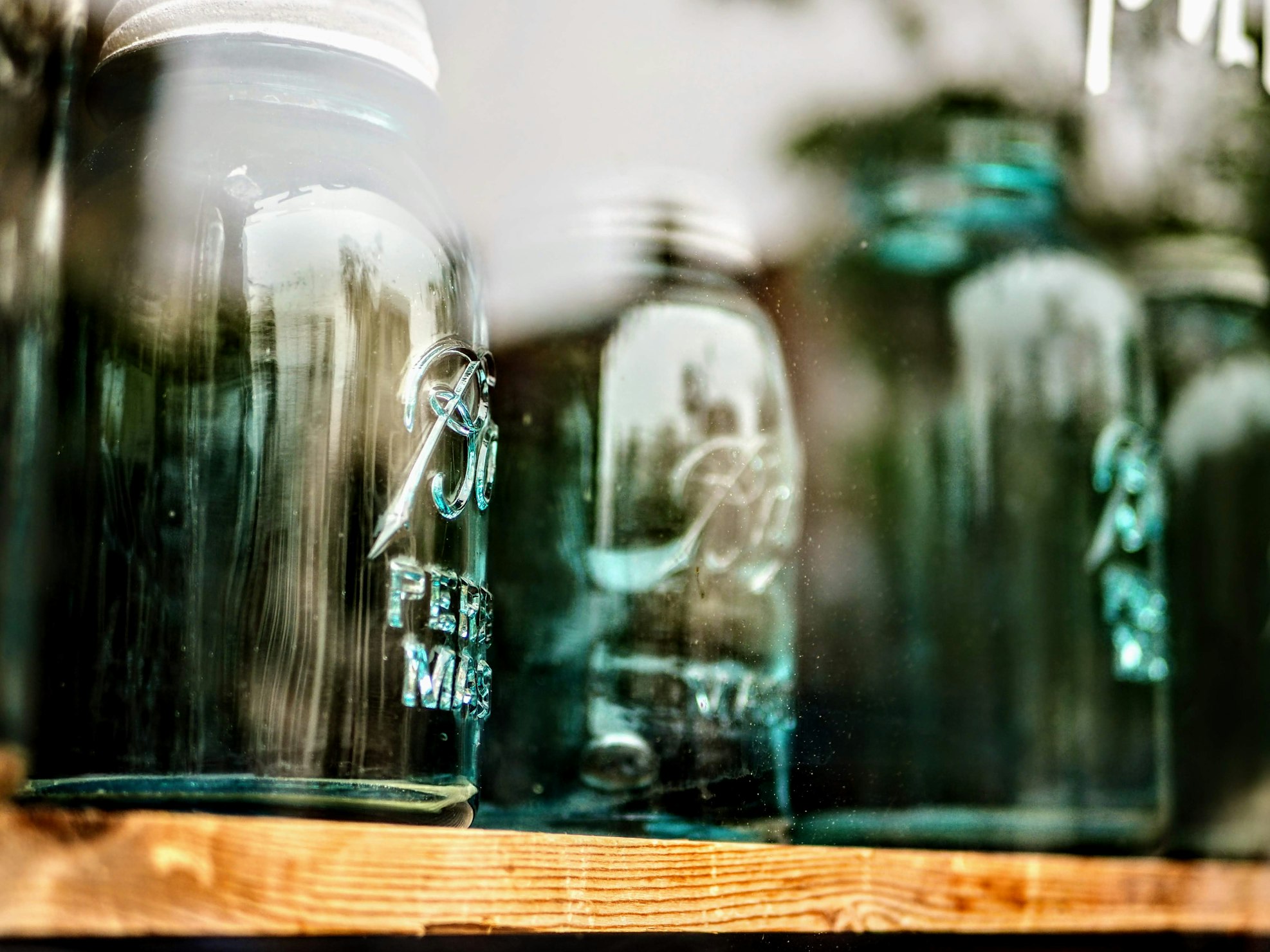 Preservation by Melissa Bowers